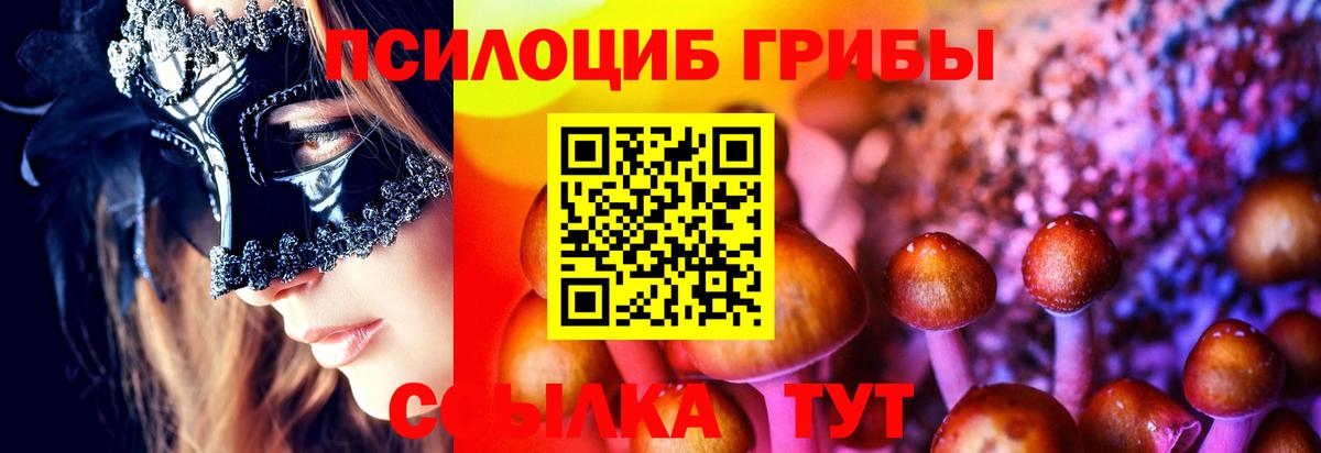 Псилоцибиновые грибы GOLDEN TEACHER  Псилоцибиновые грибы Psilocybine cubensis  Вход с VPN  дарнет шоп  Нарьян-Мар 